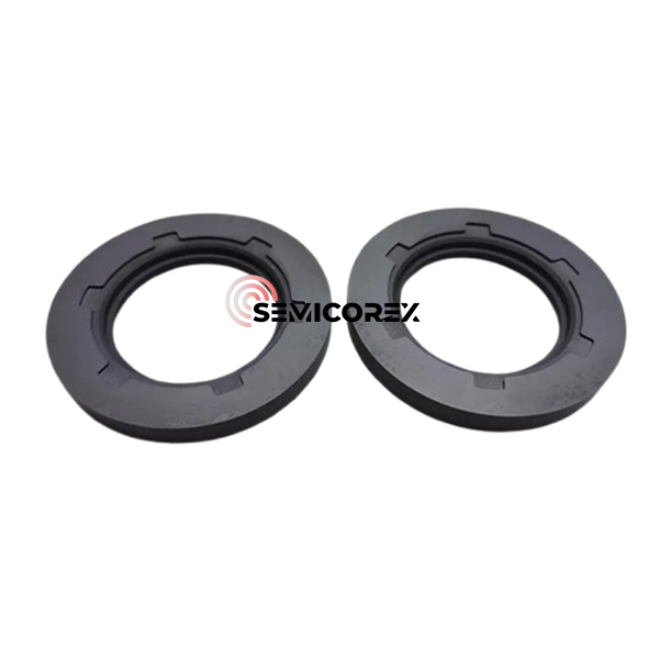 Gasket SiC